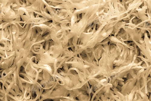 Preview: Cabbage Shredded And Fermented For A Background And Texture Closeup