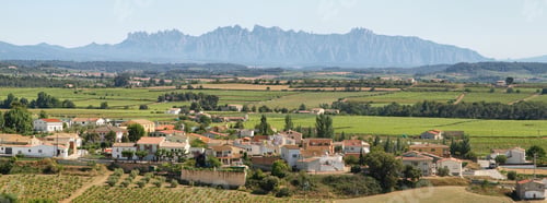 Preview: Vineyards with Montserrat peaks at background