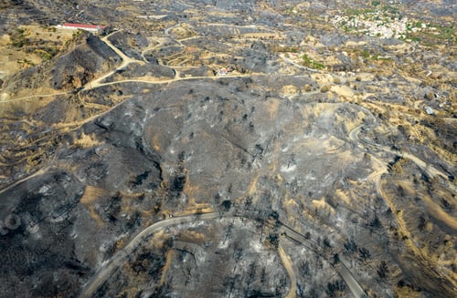 Preview: Mountain fire with burned agriculture land and forest. Disaster of the environment Cyprus