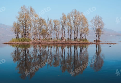 Preview: Lake