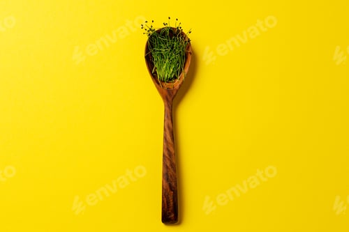Preview: Micro greens in wooden spoon on paper background