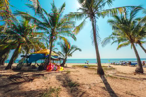 Preview: Coconut trees on island beach and summer vacation