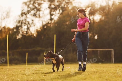 Preview: On sportive field. Woman in casual clothes is with pit bull outdoors