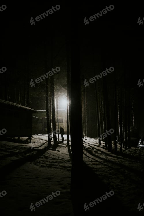 Preview: Man in the forest