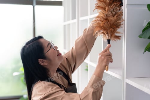 Preview: Housekeeper cleaning tips modern home article bright environment upward view concept of cleanliness