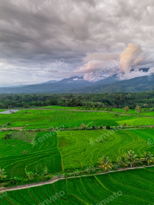 Preview: Beautiful morning view indonesia panorama landscape