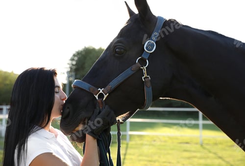 Preview: Young woman in horse riding suit and her beautiful pet outdoors on sunny day