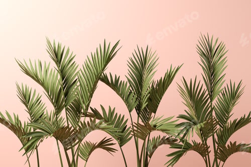 Preview: Palm leafs on pink background 3D illustration
