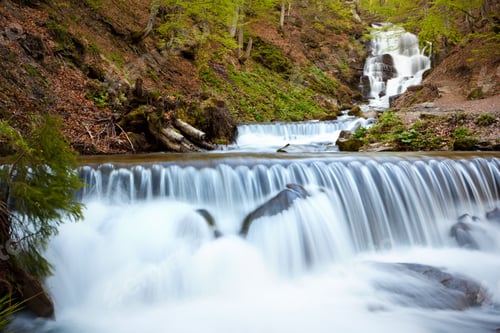 Preview: Forest river with active water flow