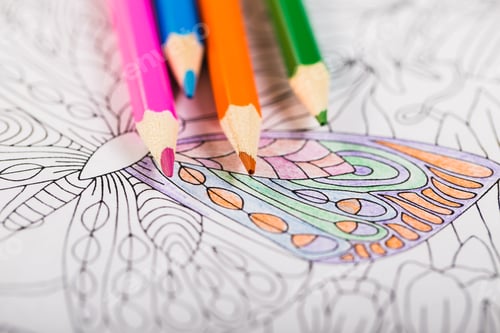 Preview: Multi-colored pencils and coloring book for adults