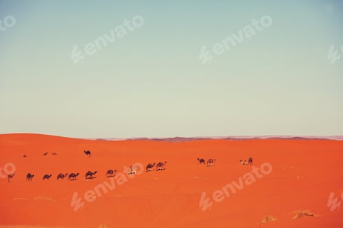 Preview: Caravan in desert