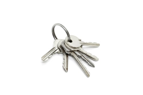 Preview: Silver keys on the ring on white background