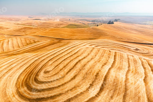 Preview: Beautiful view of a harvested wheat field with a rolling hill surface