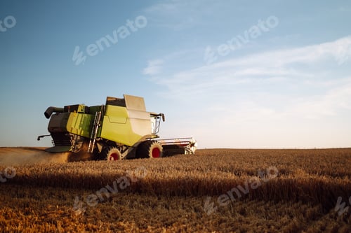 Preview: Combine harvester harvests grain in the field. Agriculture, gardening or ecology concept.