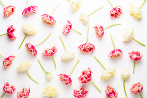 Preview: Spring flowers tulips on pastel colors background. Retro vintage style.