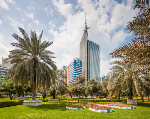 Preview: A Park in Abu Dhabi City