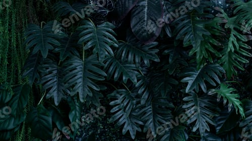Preview: Creative nature green background.