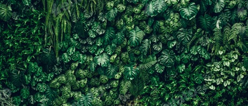 Preview: Close-up of vibrant green leaves with rich textures, creating a fresh, exotic backdrop.