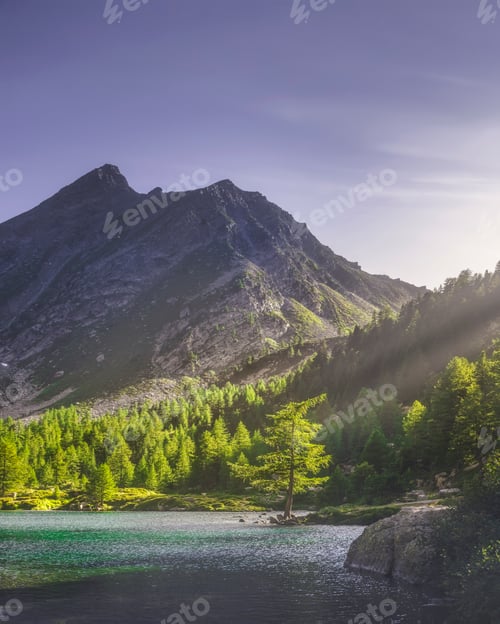 Preview: Tree at Lake Arpy and Alps Mountains at Sunset
