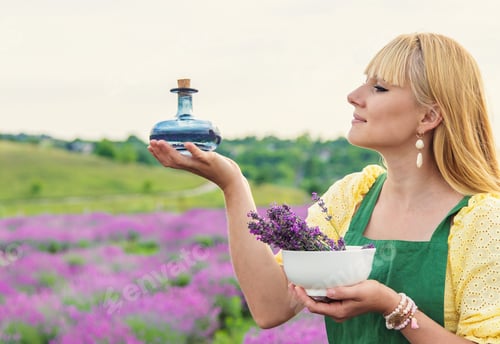 Visualização: Uma mulher coleta lavanda para obter óleo essencial. Foco seletivo
.
