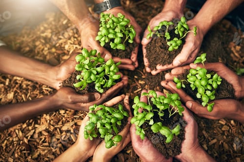 Preview: Together we can nurture growth