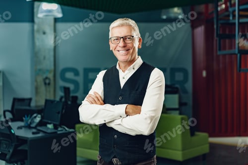 Preview: Portrait of mature businessman in the office.