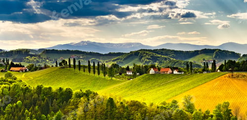 Preview: Panorama, Austria, Styria, wine producing country,old wine-growing country,Southern Styria