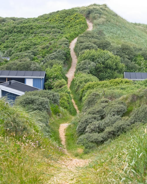 Preview: Beautiful view of a road on the green mountain in Blokhus, Denmark