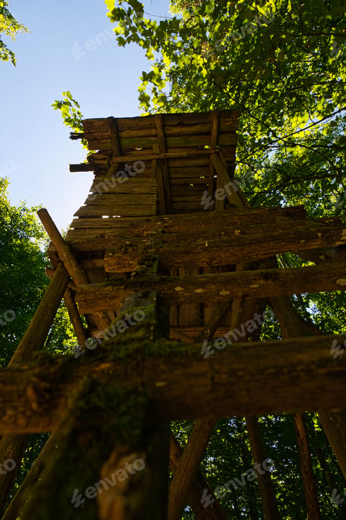 Preview: an old treehouse is shown from the ground up in a forest