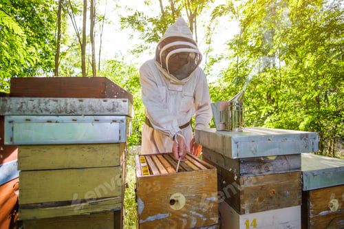 Preview: Beekeeper