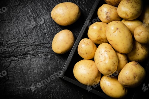 Preview: Fresh potatoes. On black background.