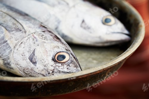 Preview: Fish market
