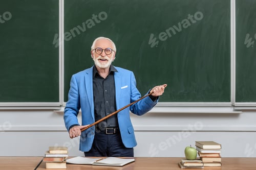Preview: smiling grey hair professor holding wooden pointer