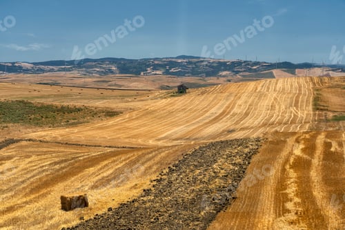 Preview: Rural landscape in Basilicata at summer