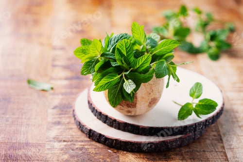 Preview: Fresh green mint leaves