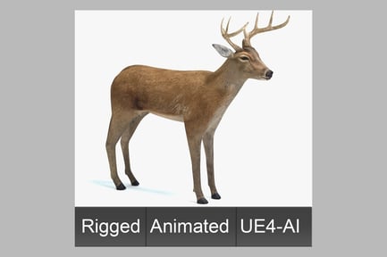 Preview: Animated White-Tailed Deer Buck with Antlers