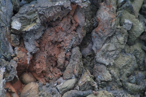 Preview: Closeup shot of a fresh lava field in Iceland with its small details