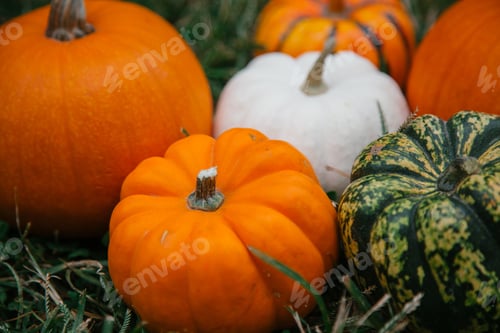 Preview: Autumn flatlay