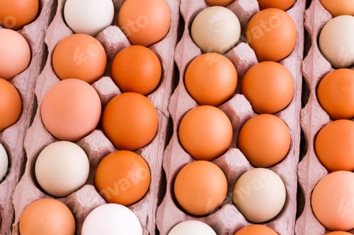 Carton of Brown and White Eggs Close Up