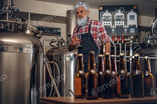 Preview: Bearded old man with beer in brewery with modern equipment