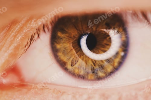 Preview: Closeup shot of a brown human eye with a small pupil and ring light reflection