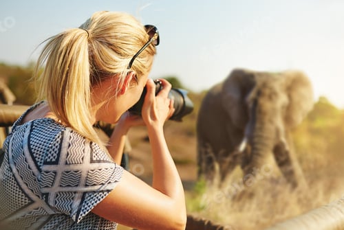 Aperçu: Cropped shot of a female tourist taking photographs of elephants while on safari