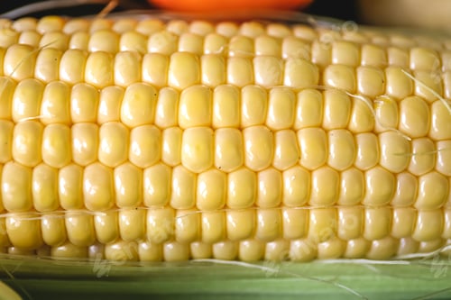 Preview: Natural background, fresh corn closeup, macro shot.