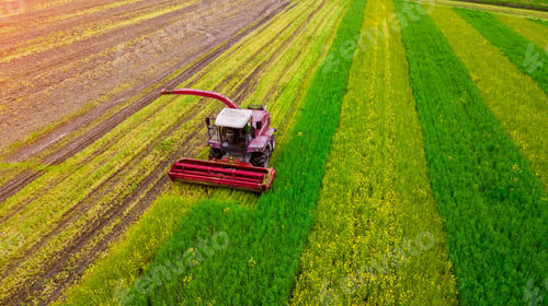 Preview: Shot of a red combine harvester in a green field