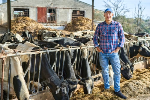 Preview: Portrait Of A Man On Livestock Ranches