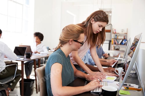 Preview: Two women working from a document in open plan office