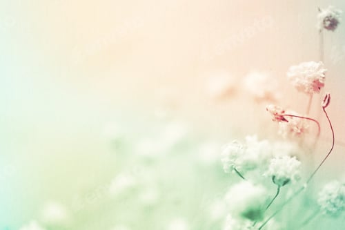 Preview: Colorful Flowers In Vintage Color Style On Mulberry Paper Texture For Background