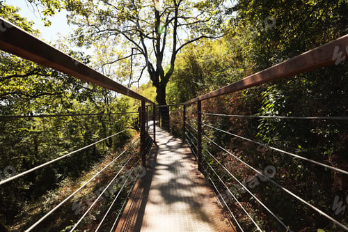 Preview: View of empty old stairs in park