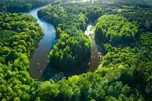 Preview: River between forests in summer. Aerial view of wildlife.