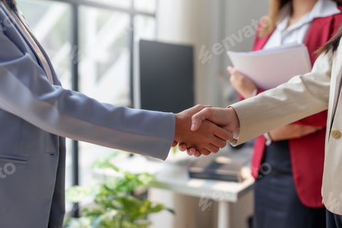 Preview: Business professionals shaking hands and finalizing a deal in an office setting